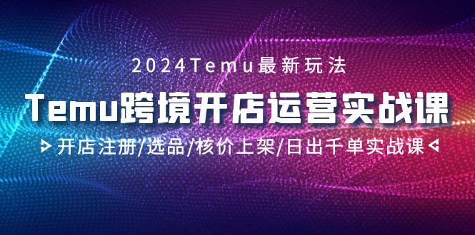 2024Temu跨境开店运营实战课，开店注册/选品/核价上架/日出千单实战课-情久项目网