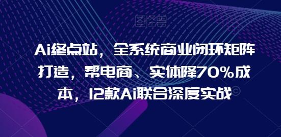 Ai终点站，全系统商业闭环矩阵打造，帮电商、实体降70%成本，12款Ai联合深度实战-情久项目网