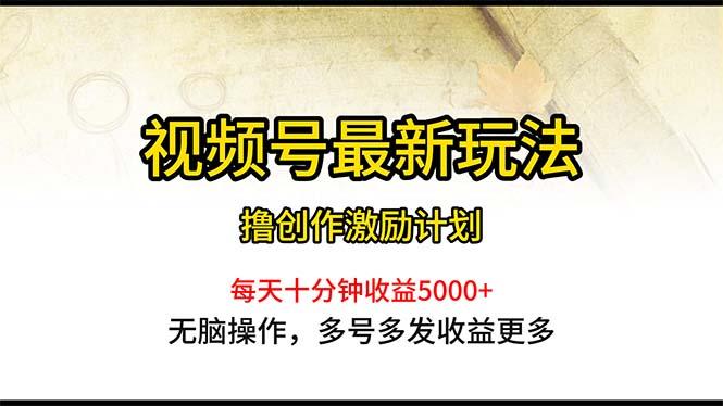 视频号最新玩法，每日一小时月入5000+-情久项目网