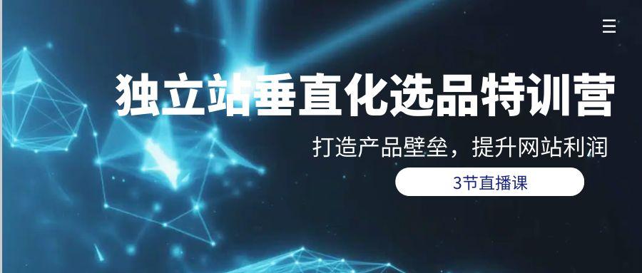 (9925期)独立站-垂直化选品训练营，打造产品壁垒，提升网站利润(3节直播课)-情久项目网