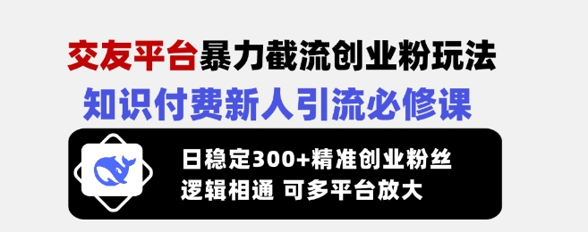 交友平台暴力截流创业粉玩法，知识付费新人引流必修课，日稳定300+精准创业粉丝，逻辑相通可多平台放大-情久项目网