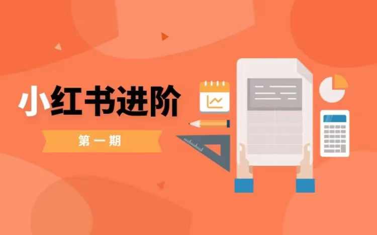 小红书进阶篇，零基础小白实战课，普通人变现的课程-情久项目网