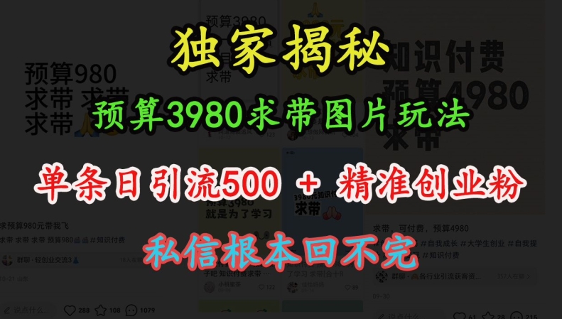 预算3980求带 图片玩法，单条日引流500+精准创业粉，私信根本回不完-情久项目网