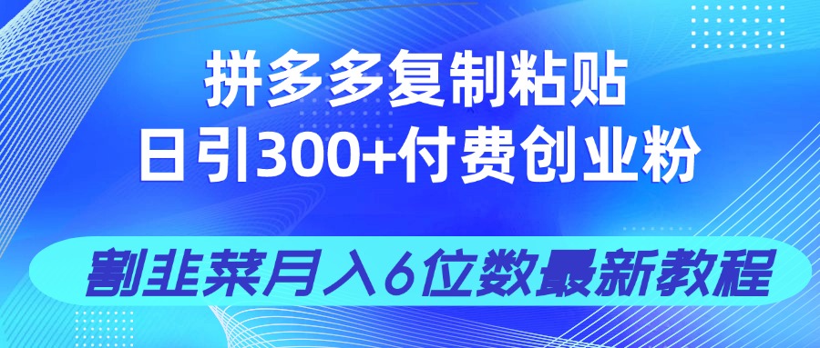 拼多多复制粘贴日引300+付费创业粉，割韭菜月入6位数最新教程！-情久项目网
