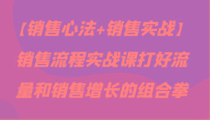 【销售心法+销售实战】销售流程实战课打好流量和销售增长的组合拳-情久项目网