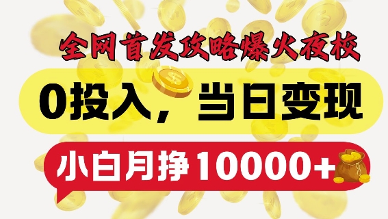 全网首发爆火夜校，0投入，当日变现，小白轻松月入1w+【揭秘】-情久项目网