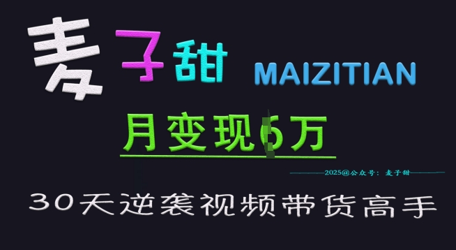 麦子甜30天逆袭视频带货高手，单月变现6W加特训营-情久项目网