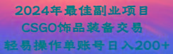 2024年最佳副业项目 CSGO饰品装备交易 轻易操作单账号日入200+-情久项目网