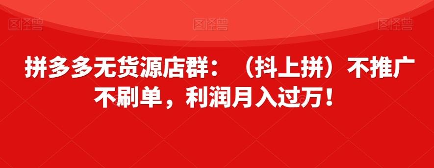 拼多多无货源店群：（抖上拼）不推广不刷单，利润月入过万！【揭秘】-情久项目网