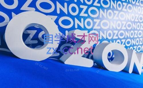 森哥·出海俄罗斯电商实操(2024)-情久项目网