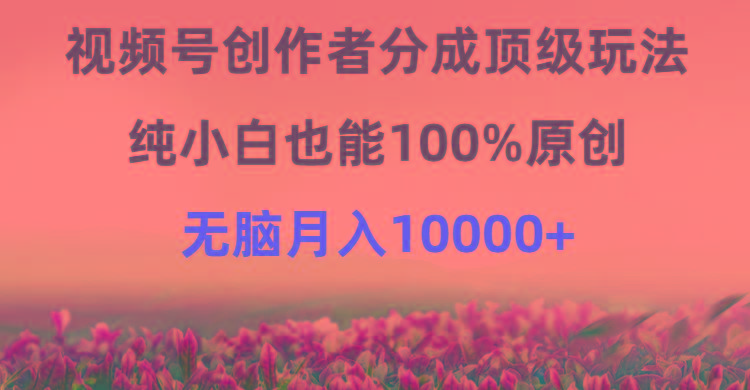 (9608期)视频号创作者分成顶级玩法，纯小白也能100%原创，无脑月入10000+-情久项目网