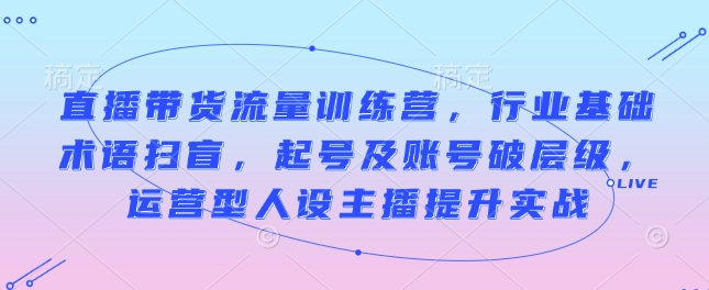 直播带货流量训练营，行业基础术语扫盲，起号及账号破层级，运营型人设主播提升实战-情久项目网