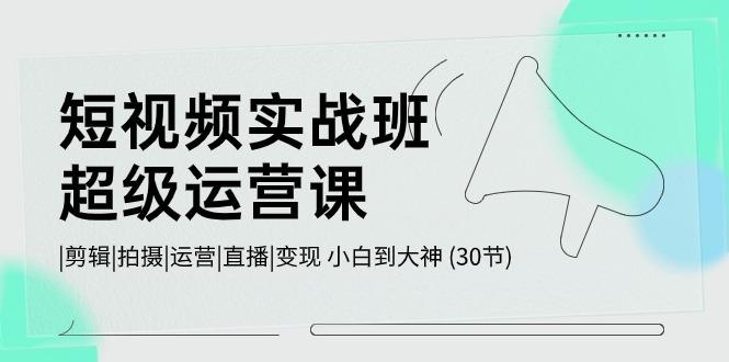 短视频实战班超级运营课 |剪辑|拍摄|运营|直播|变现 小白到大神 (30节)-情久项目网