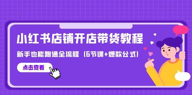 (9883期)最新小红书店铺开店带货教程，新手也能跑通全流程(6节课+爆款公式)-情久项目网