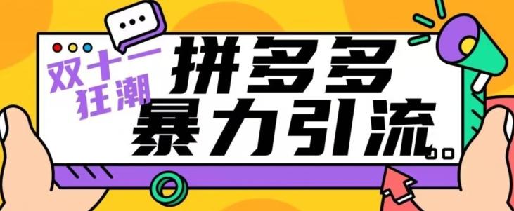 【首发】双十一拼多多暴力引流，日引300+微信-情久项目网
