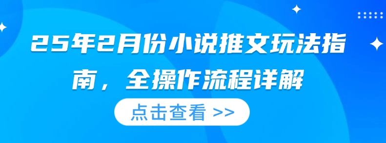 25年2月份小说推文玩法指南，全操作流程详解-情久项目网