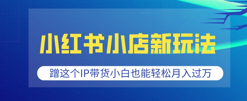小红书小店新玩法，蹭这个IP带货，小白也能轻松月入过W【揭秘】-情久项目网