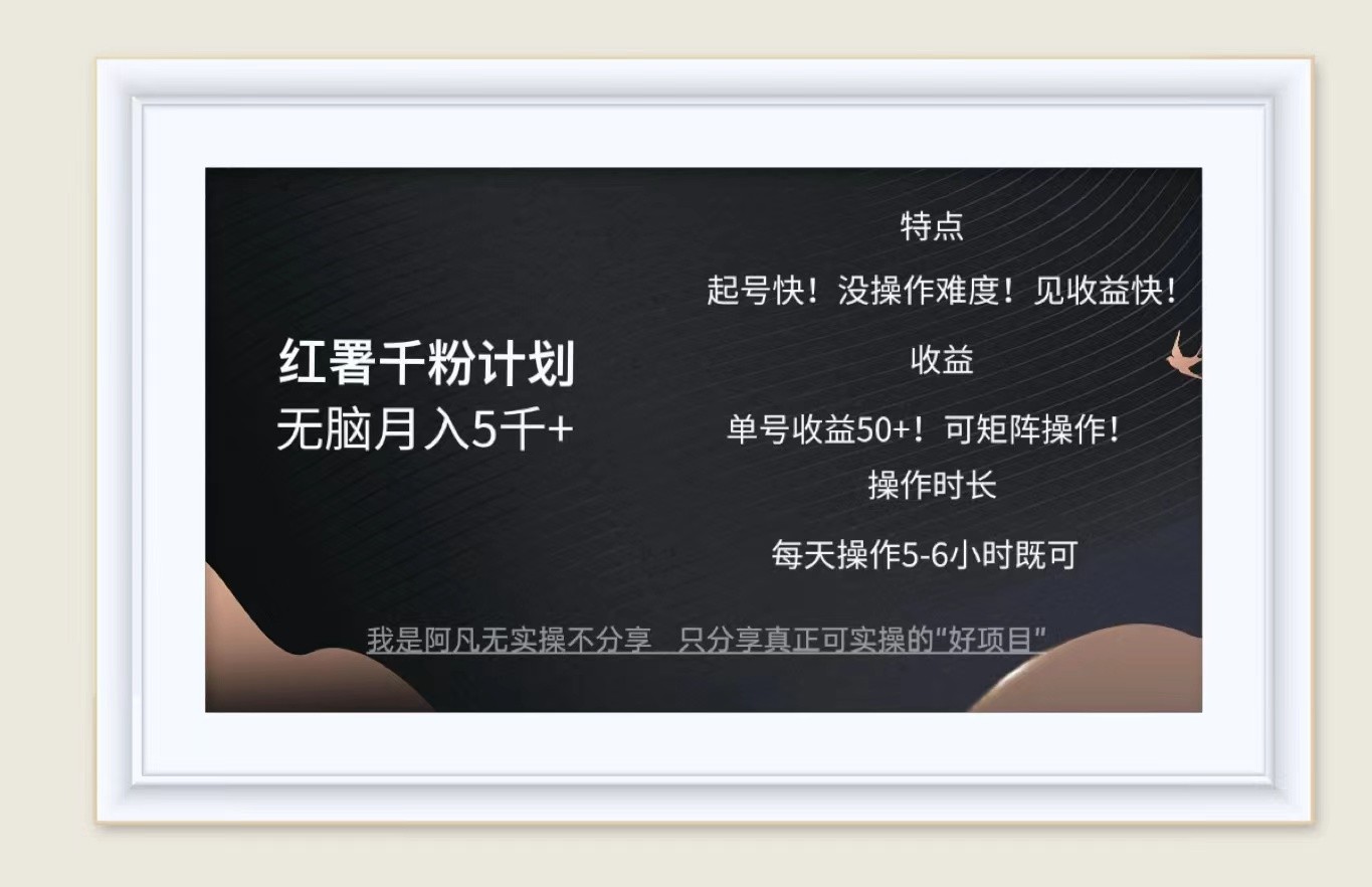 红薯千粉计划无脑月入5千+！既做既赚！-情久项目网