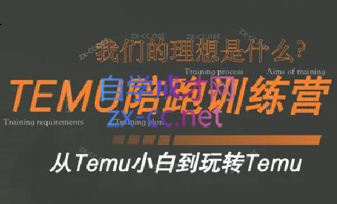 苗苗·拼多多跨境（temu）课程-情久项目网