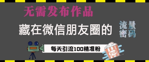 藏在微信朋友圈的流量密码，无需发布作品，单日引流100+精准创业粉【揭秘】-情久项目网