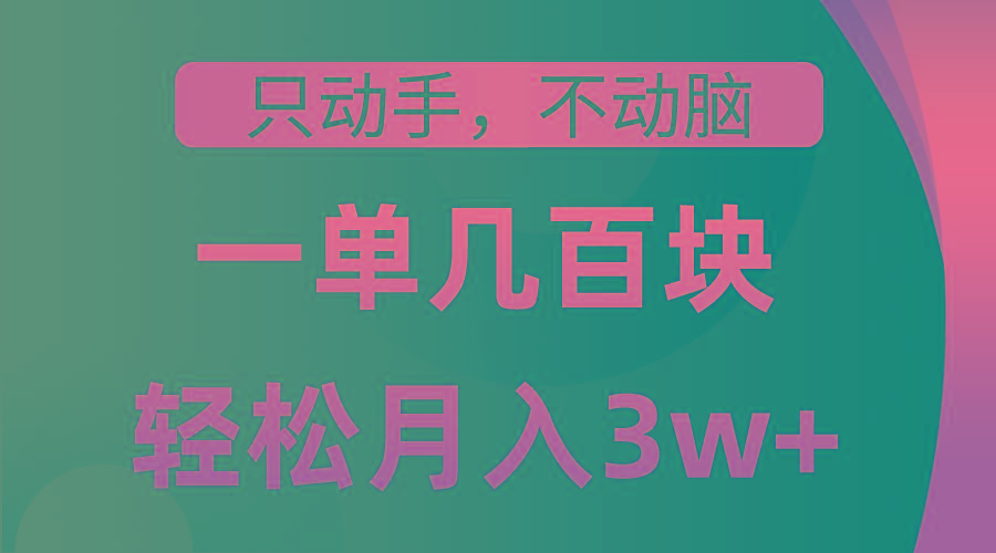 只动手不动脑，一单几百块，轻松月入3w+，看完就能直接操作，详细教程-情久项目网