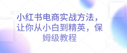 小红书电商实战方法，让你从小白到精英，保姆级教程-情久项目网