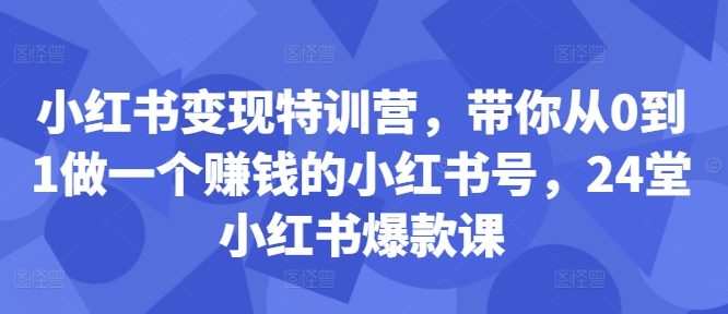 小红书变现特训营，带你从0到1做一个赚钱的小红书号，24堂小红书爆款课-情久项目网