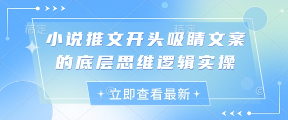 小说推文开头吸睛文案的底层思维逻辑实操-情久项目网