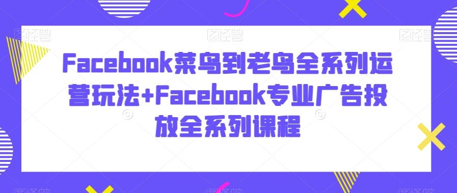 Facebook菜鸟到老鸟全系列运营玩法+Facebook专业广告投放全系列课程-情久项目网