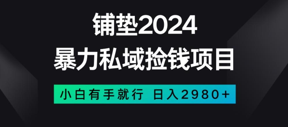 暴力私域捡钱项目，小白无脑操作，日入2980【揭秘】-情久项目网