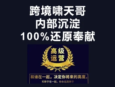 漫威跨境特训营-跨境电商教程-情久项目网