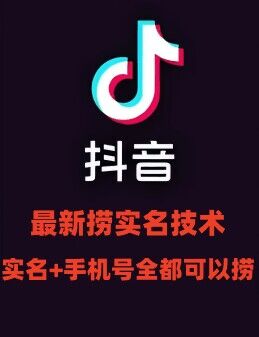 最新技术抖音捞实名+捞手机号技术，抖音直播封禁释放十名/手机号，直接替换出来!-情久项目网