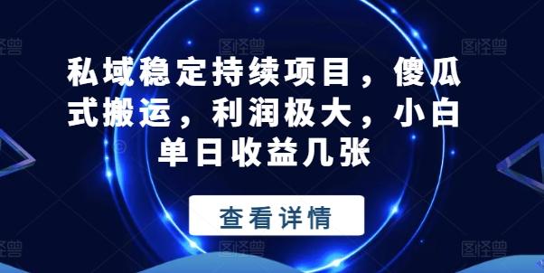 私域稳定持续项目，傻瓜式搬运，利润极大，小白单日收益几张【揭秘】-情久项目网