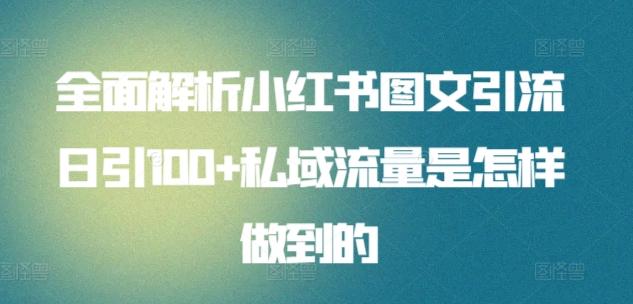 全面解析小红书图文引流日引100+私域流量是怎样做到的【揭秘】-情久项目网