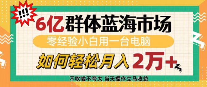 6亿群体蓝海市场，零经验小白用一台电脑，如何轻松月入过w【揭秘】-情久项目网