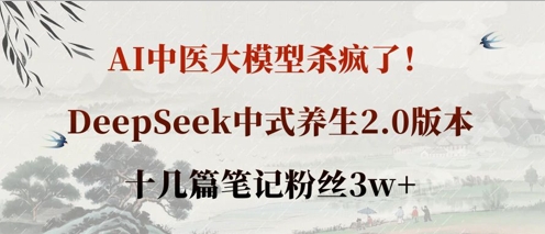 AI中医大模型杀疯了！DeepSeek中式养生2.0版本，十几篇笔记粉丝3w+-情久项目网