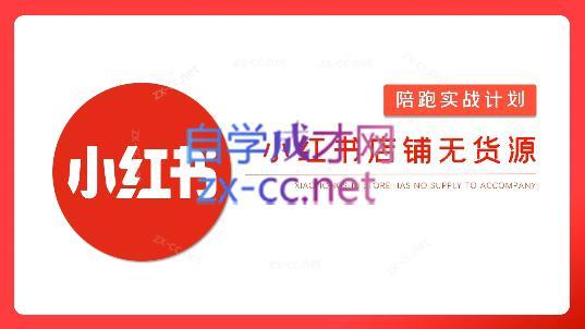 安琪·小红书店铺无货源-情久项目网