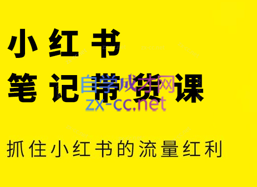 张宾·小红书笔记带货课(更新24年7月)-情久项目网