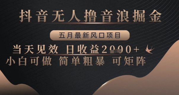 抖音无人撸音浪掘金，五月最新风口项目，当天见效，日收益多张，小白可做简单粗暴可矩阵【揭秘】-情久项目网