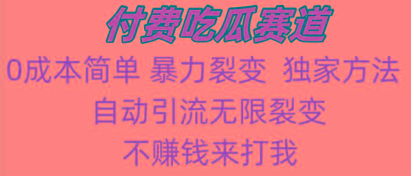 吃瓜付费赛道，暴力无限裂变，0成本，实测日入700+！！！-情久项目网