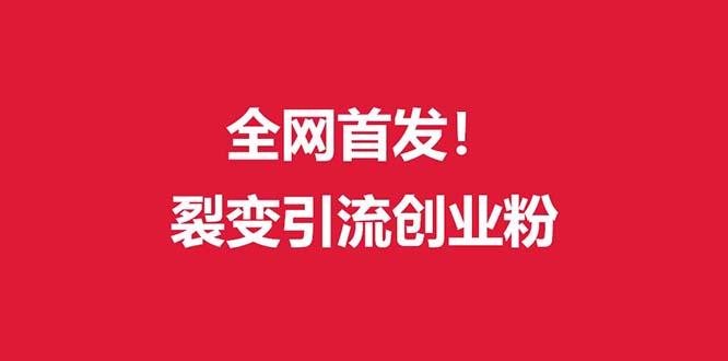(全网首发)外面收费几千的裂变引流高质量创业粉-情久项目网