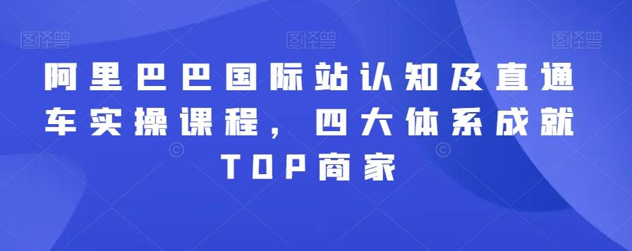 阿里巴巴国际站认知及直通车实操课程，四大体系成就TOP商家-情久项目网