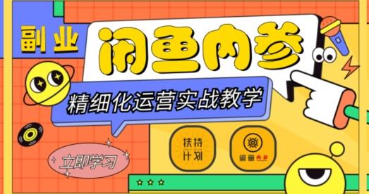 闲鱼精细化运营入门+高阶实战教学，从底层逻辑到轻松变现，多维度玩转闲鱼副业-情久项目网