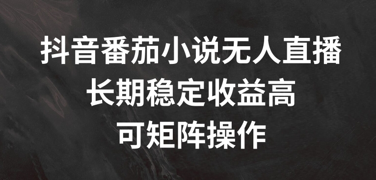 抖音番茄小说无人直播，长期稳定收益高，可矩阵操作【揭秘】-情久项目网