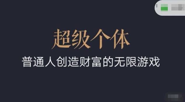 超级个体2024-2025翻盘指南，普通人创造财富的无限游戏-情久项目网