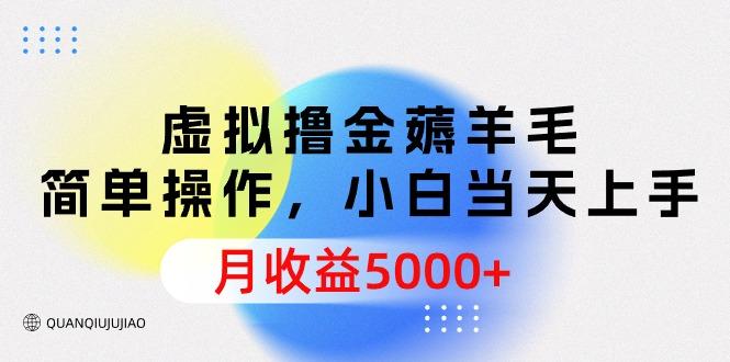 (9864期)虚拟撸金薅羊毛，简单操作，小白当天上手，月收益5000+-情久项目网