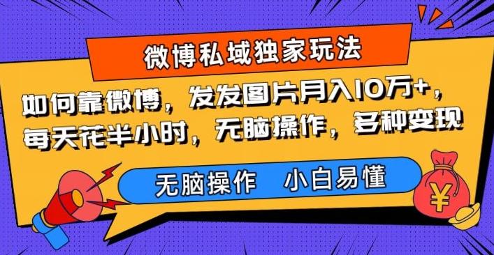 如何靠微博，发发图片月入10万+，‌每天花半小时，无脑操作，多种变现-情久项目网