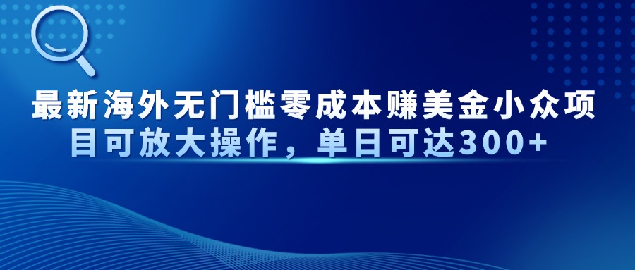 最新海外无门槛零成本赚美金小众项目可放大操作，单日可达300+-情久项目网