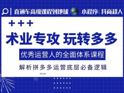 术业专攻玩转多多，优秀运营人的全面体系课程，解析拼多多运营底层必备逻辑-情久项目网