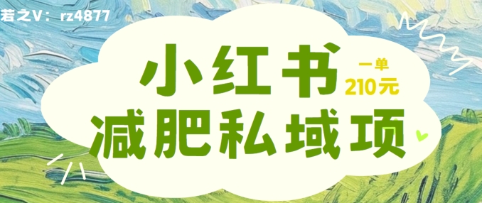 小红书减肥粉，私域变现项目，一单就达210元，小白也能轻松上手【揭秘】-情久项目网